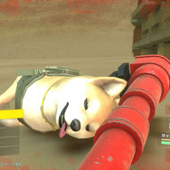 友野Dによる動画「メタルマックスゼノ リボーン通信」第3回は“ポチについて”―可愛いだけじゃない! 健気に戦う「戦闘犬」が復活