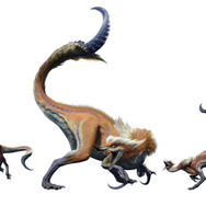 『モンスターハンターライズ』はフィールド上の“あらゆる場所に”移動可能！ フィールド内にエリアの境界はなく、新オトモ「ガルク」も登場─最新情報まとめ