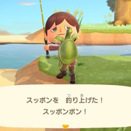 噛み付いたらはなさない!…ってマジ?『あつまれ どうぶつの森』に登場する「スッポン」について知ろう【平坂寛の『あつ森』博物誌】