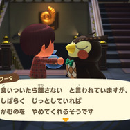 噛み付いたらはなさない!…ってマジ?『あつまれ どうぶつの森』に登場する「スッポン」について知ろう【平坂寛の『あつ森』博物誌】