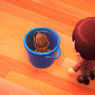 実はおいしい！実は刺す！『あつまれ どうぶつの森』に登場する「タガメ」は不思議だらけ！【平坂寛の『あつ森』博物誌】