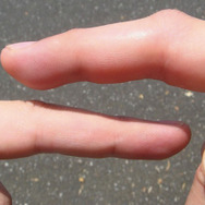 実はおいしい！実は刺す！『あつまれ どうぶつの森』に登場する「タガメ」は不思議だらけ！【平坂寛の『あつ森』博物誌】