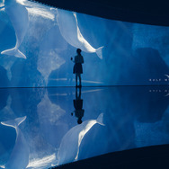 【コスプレ】『アークナイツ』プラチナの水中撮影が幻想的な美しさ！今こそ、中国レイヤー・鶯声巧が知られる時だ【写真26枚】