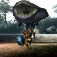6日連続!MH3がますますわかる「まだ間に合う!モンスターハンター3」、第3回「モンスターの知られざる生態」