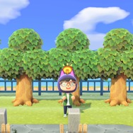 『あつまれ どうぶつの森』秋が深まり島には7つの変化が到来！ かぼちゃ育成のやり方もご紹介