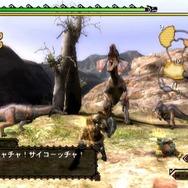 6日連続!MH3がますますわかる「まだ間に合う!モンスターハンター3」、第4回「第二の故郷“モガの村”」