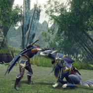 なぜ和風?ガルク採用の理由は?―『モンハンライズ』『モンハンストーリーズ2』辻本P&一瀬Dメディア合同インタビュー