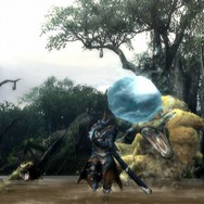 6日連続!MH3がますますわかる「まだ間に合う!モンスターハンター3」、第6回「モンスターの知られざる生態2」