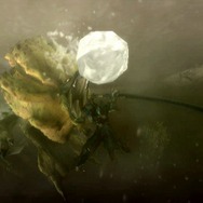 6日連続!MH3がますますわかる「まだ間に合う!モンスターハンター3」、第6回「モンスターの知られざる生態2」