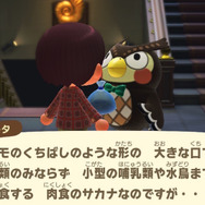 冷たい川のぬし！『あつまれ どうぶつの森』で釣れる「パイク」ってどんな魚？【平坂寛の『あつ森』博物誌】