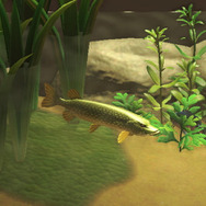 冷たい川のぬし！『あつまれ どうぶつの森』で釣れる「パイク」ってどんな魚？【平坂寛の『あつ森』博物誌】