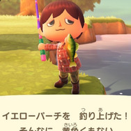 冷たい川のぬし！『あつまれ どうぶつの森』で釣れる「パイク」ってどんな魚？【平坂寛の『あつ森』博物誌】