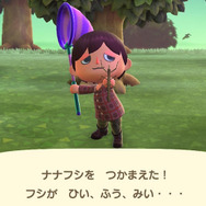 擬態の名手！『あつまれ どうぶつの森』に登場するナナフシをリアルで探す大変さについて【平坂寛の『あつ森』博物誌】