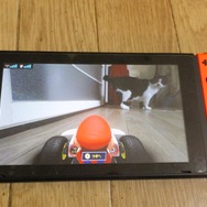 『マリオカート ライブ ホームサーキット』で飼い猫を眺めてみた！ 低視点がこれまでにない新鮮さを生み、猫はいつも通り気まぐれ・・・