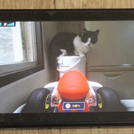 『マリオカート ライブ ホームサーキット』で飼い猫を眺めてみた！ 低視点がこれまでにない新鮮さを生み、猫はいつも通り気まぐれ・・・