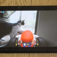 『マリオカート ライブ ホームサーキット』で飼い猫を眺めてみた！ 低視点がこれまでにない新鮮さを生み、猫はいつも通り気まぐれ・・・