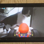 『マリオカート ライブ ホームサーキット』で飼い猫を眺めてみた！ 低視点がこれまでにない新鮮さを生み、猫はいつも通り気まぐれ・・・
