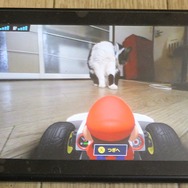 『マリオカート ライブ ホームサーキット』で飼い猫を眺めてみた！ 低視点がこれまでにない新鮮さを生み、猫はいつも通り気まぐれ・・・