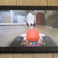 『マリオカート ライブ ホームサーキット』で飼い猫を眺めてみた！ 低視点がこれまでにない新鮮さを生み、猫はいつも通り気まぐれ・・・