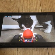 『マリオカート ライブ ホームサーキット』で飼い猫を眺めてみた！ 低視点がこれまでにない新鮮さを生み、猫はいつも通り気まぐれ・・・