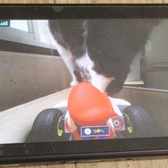 『マリオカート ライブ ホームサーキット』で飼い猫を眺めてみた！ 低視点がこれまでにない新鮮さを生み、猫はいつも通り気まぐれ・・・