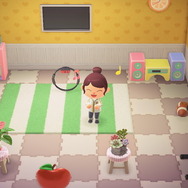 あつまれ どうぶつの森』リングフィット部屋を作って“スポーツの