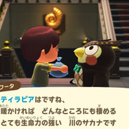 とにかくタフ！！『あつまれ どうぶつの森』で釣れる「ティラピア」は最強の淡水魚！【平坂寛の『あつ森』博物誌】