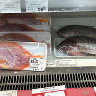 とにかくタフ！！『あつまれ どうぶつの森』で釣れる「ティラピア」は最強の淡水魚！【平坂寛の『あつ森』博物誌】