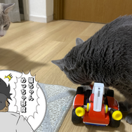 【吉田輝和の絵日記】猫ちゃんの様子も見守れる！現実とゲームが融合した『マリオカート ライブ ホームサーキット』