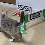 【吉田輝和の絵日記】猫ちゃんの様子も見守れる！現実とゲームが融合した『マリオカート ライブ ホームサーキット』