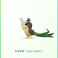 ネギガナイトの進化条件「エクセレントスロー」にお困りなアナタに！グッと成功しやすくなる4つの知識【ポケモンGO 秋田局】