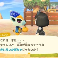 『あつまれ どうぶつの森』ハロウィン当日が待ち遠しい！かぼちゃを育てたり衣装を買ったり…準備はOK？