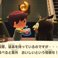 綺麗な魚には毒がある！『あつまれ どうぶつの森』で釣れる「ミノカサゴ」ってこんな魚【平坂寛の『あつ森』博物誌】