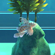 綺麗な魚には毒がある！『あつまれ どうぶつの森』で釣れる「ミノカサゴ」ってこんな魚【平坂寛の『あつ森』博物誌】