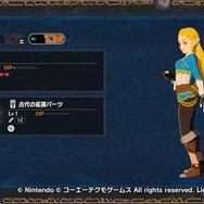 『ゼルダ無双 厄災の黙示録』のおかげで太眉ヒロイン・ゼルダの愛が深まった…！