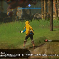 『ゼルダ無双 厄災の黙示録』のおかげで太眉ヒロイン・ゼルダの愛が深まった…！