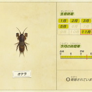 『あつまれ どうぶつの森』虫/魚/海の幸の全てに初登場あり! 発売初期の生物も再登場する「11月の新生物一覧」をお届け