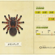 『あつまれ どうぶつの森』虫/魚/海の幸の全てに初登場あり! 発売初期の生物も再登場する「11月の新生物一覧」をお届け