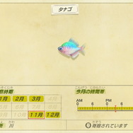 『あつまれ どうぶつの森』虫/魚/海の幸の全てに初登場あり! 発売初期の生物も再登場する「11月の新生物一覧」をお届け