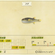 『あつまれ どうぶつの森』虫/魚/海の幸の全てに初登場あり! 発売初期の生物も再登場する「11月の新生物一覧」をお届け