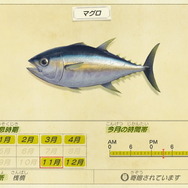 『あつまれ どうぶつの森』虫/魚/海の幸の全てに初登場あり! 発売初期の生物も再登場する「11月の新生物一覧」をお届け