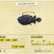 『あつまれ どうぶつの森』虫/魚/海の幸の全てに初登場あり! 発売初期の生物も再登場する「11月の新生物一覧」をお届け