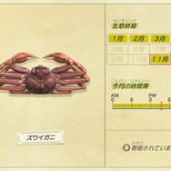 『あつまれ どうぶつの森』虫/魚/海の幸の全てに初登場あり! 発売初期の生物も再登場する「11月の新生物一覧」をお届け