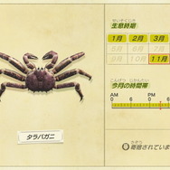 『あつまれ どうぶつの森』虫/魚/海の幸の全てに初登場あり! 発売初期の生物も再登場する「11月の新生物一覧」をお届け