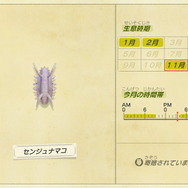 『あつまれ どうぶつの森』虫/魚/海の幸の全てに初登場あり! 発売初期の生物も再登場する「11月の新生物一覧」をお届け