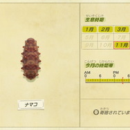 『あつまれ どうぶつの森』虫/魚/海の幸の全てに初登場あり! 発売初期の生物も再登場する「11月の新生物一覧」をお届け