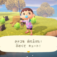 『あつまれ どうぶつの森』虫/魚/海の幸の全てに初登場あり! 発売初期の生物も再登場する「11月の新生物一覧」をお届け