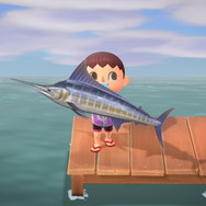 『あつまれ どうぶつの森』虫/魚/海の幸の全てに初登場あり! 発売初期の生物も再登場する「11月の新生物一覧」をお届け