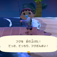 『あつまれ どうぶつの森』虫/魚/海の幸の全てに初登場あり! 発売初期の生物も再登場する「11月の新生物一覧」をお届け