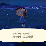 『あつまれ どうぶつの森』虫/魚/海の幸の全てに初登場あり! 発売初期の生物も再登場する「11月の新生物一覧」をお届け